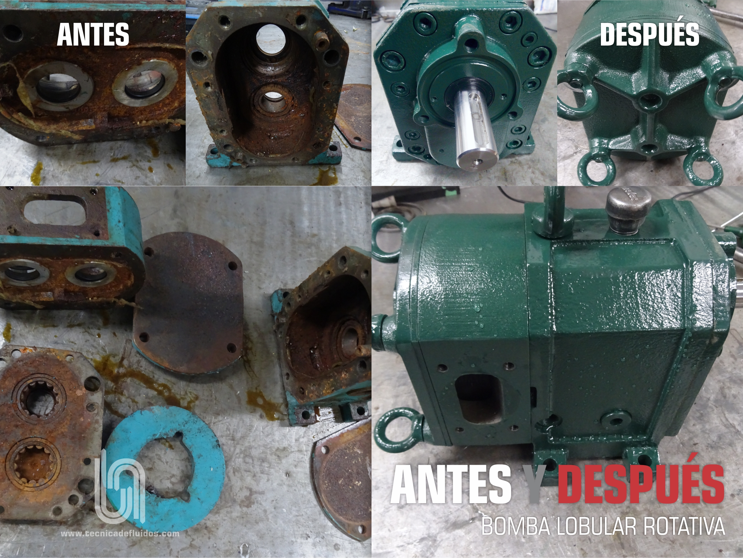 ANTES Y DESPUÉS - BOMBA LOBULAR ROTATIVA