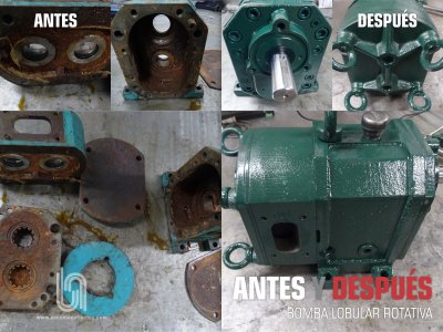 ANTES Y DESPUÉS - BOMBA LOBULAR ROTATIVA