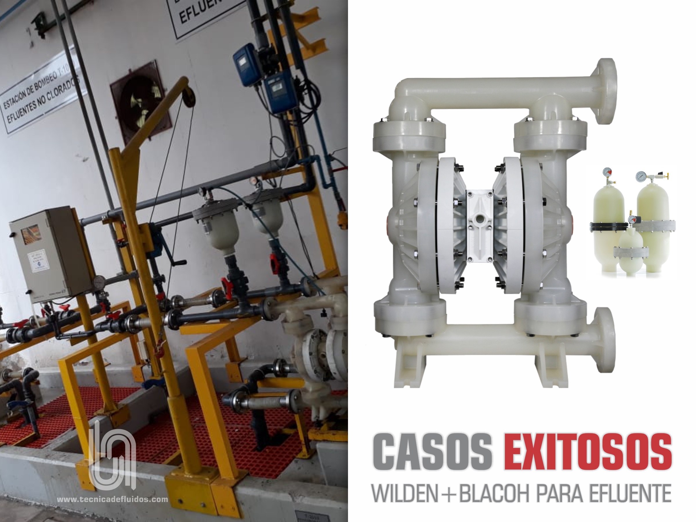 CASOS EXITOSOS -  WILDEN + BLACOH PARA EFLUENTE