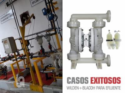 CASOS EXITOSOS -  WILDEN + BLACOH PARA EFLUENTE