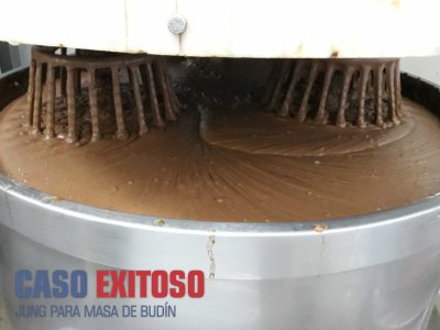 CASO EXITOSO - JUNG PARA MASA DE BUDIN 