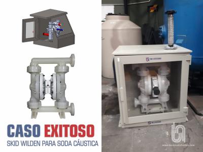 CASO EXITOSO - SKID WILDEN PARA SODA CÁUSTICA