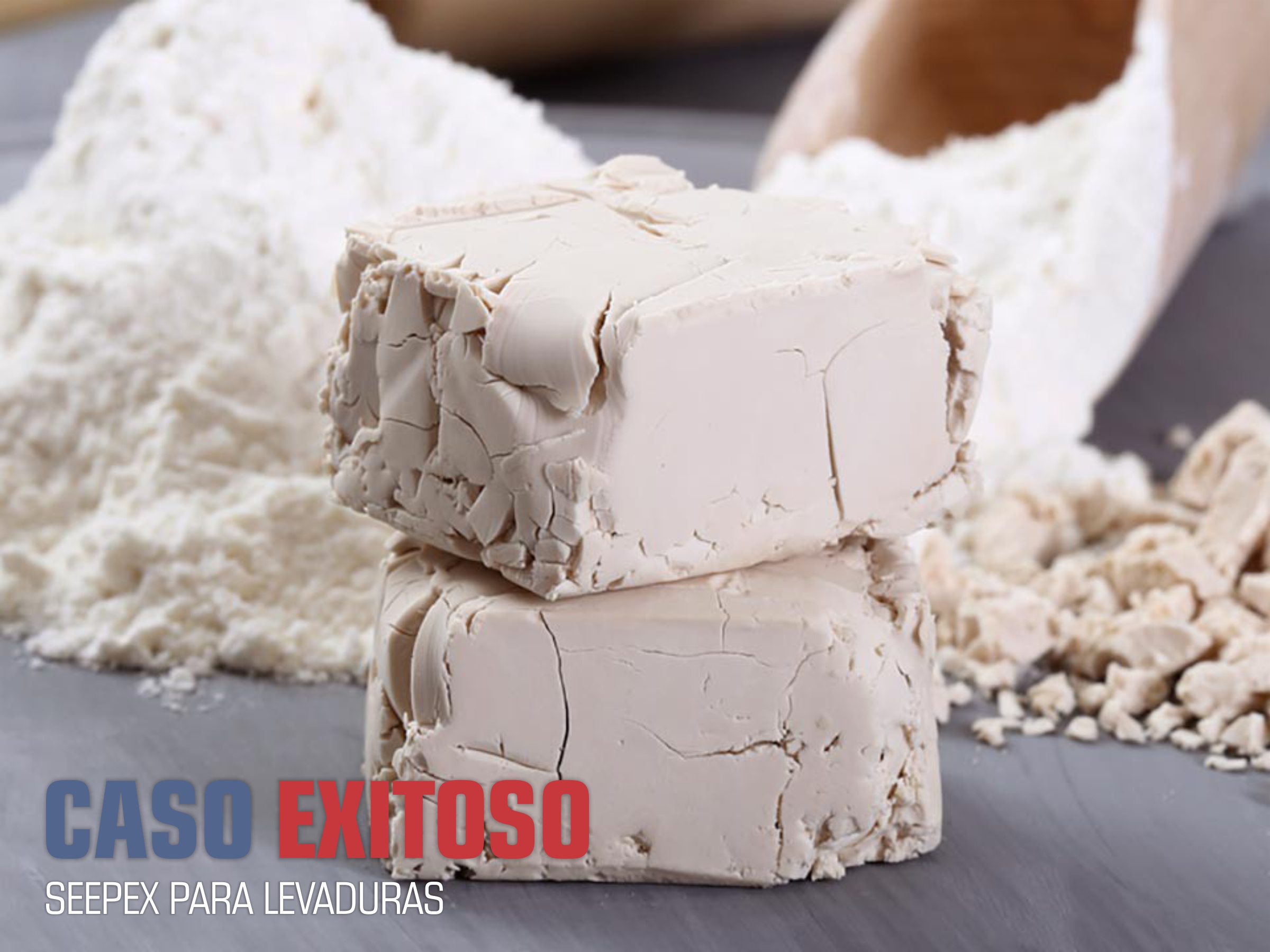 CASO EXITOSO - SEEPEX PARA EMULSIÓN