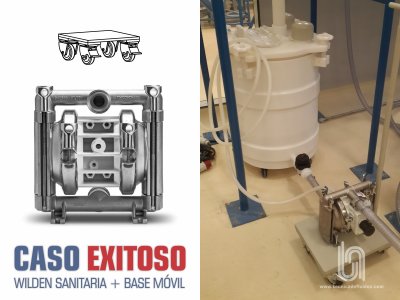 CASO EXITOSO - WILDEN + BASE PARA FLUIDO SANITARIO