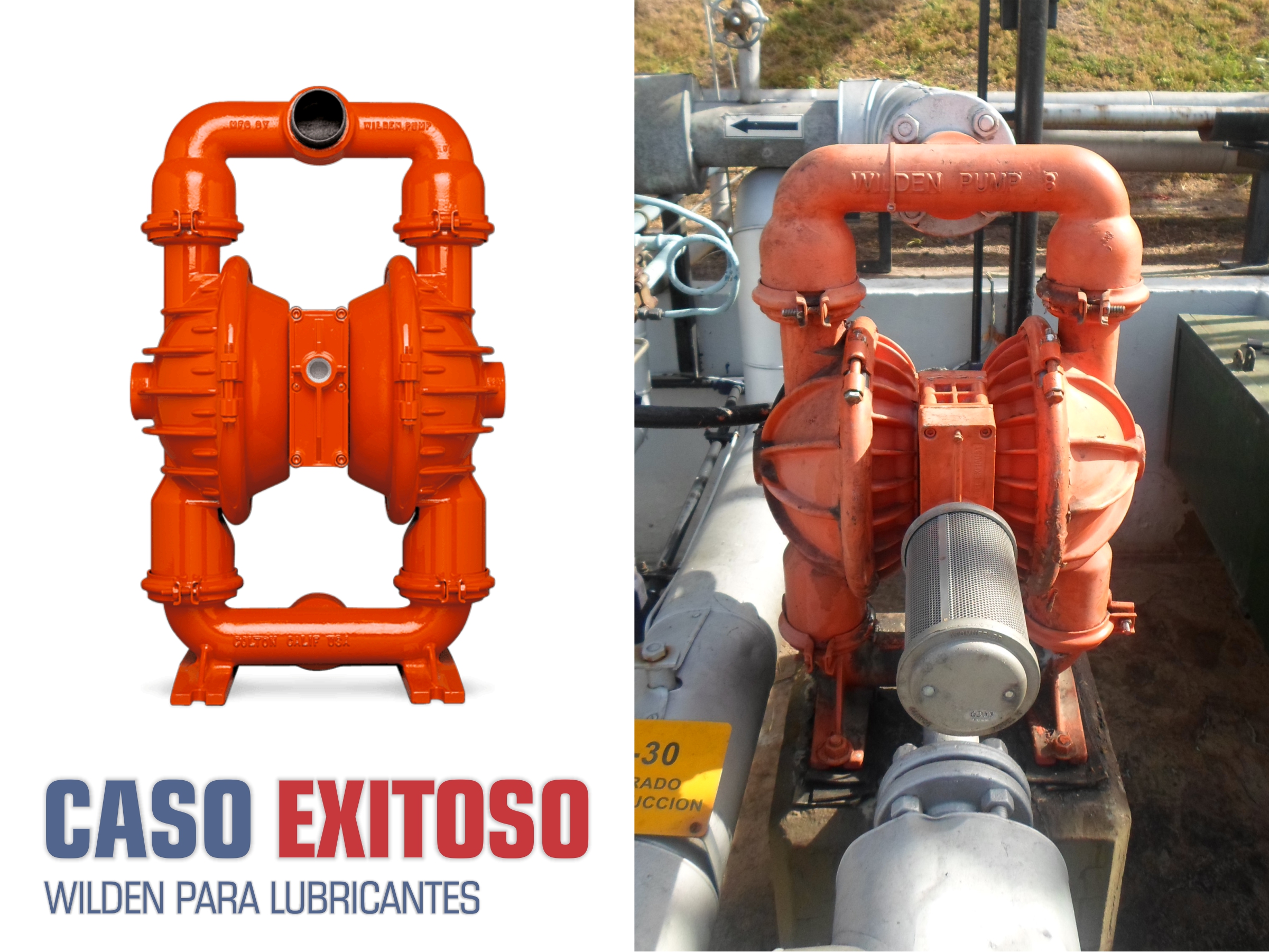 CASO EXITOSO - WILDEN PARA LUBRICANTES