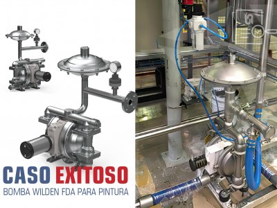 CASO EXITOSO - WILDEN SANITARIA FDA PARA PINTURA