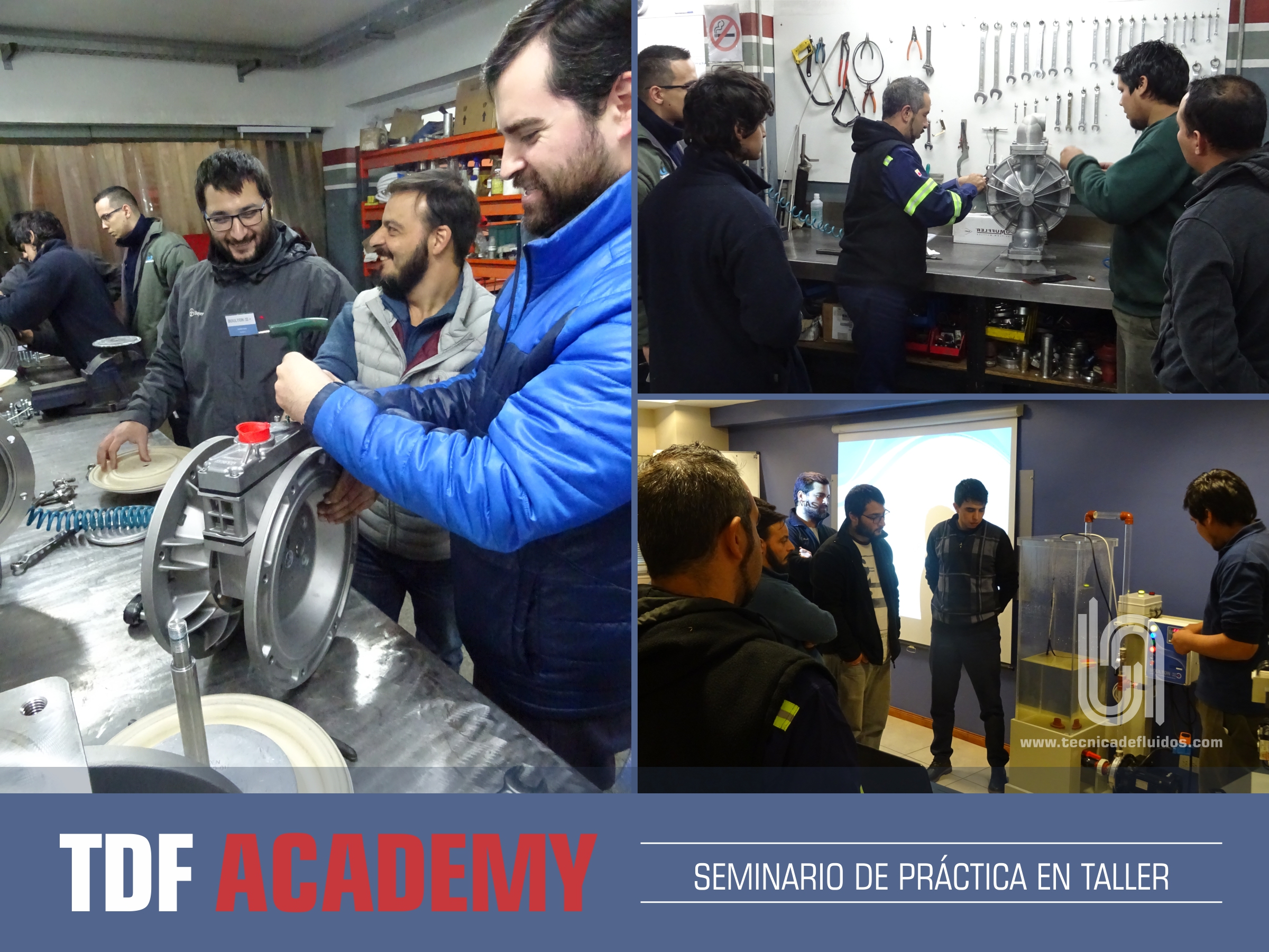 TDF ACADEMY - SEMINARIO DE PRÁCTICA EN TALLER - EDICIÓN JUNIO