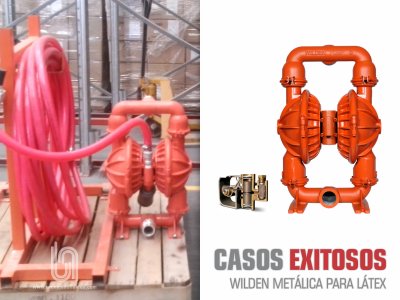 CASOS EXITOSOS - WILDEN METÁLICA PARA LATEX 